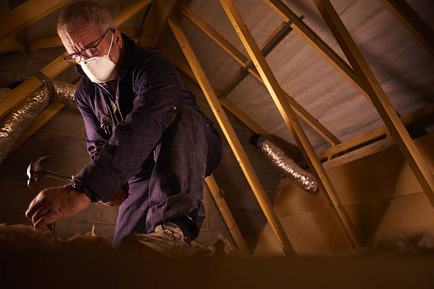 Best Types of Insulation in Minier, IL